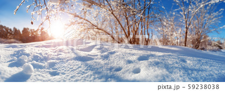 Branches covered with snow on blue sky background Branches covered with snow on blue sky background 59238038
