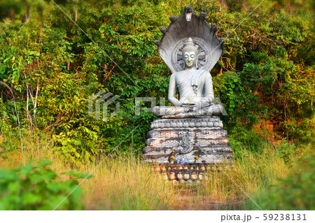 Buddha statue in the forest of Phu Salao temple at Buddha statue in the forest of Phu Salao temple at 59238131