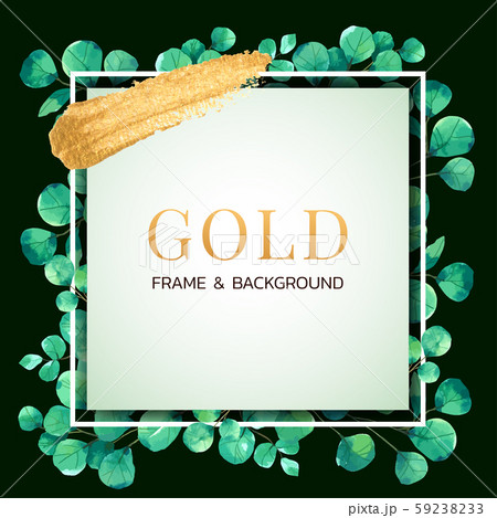 Gold frame and border with eucalyptus template watercolour painted 59238233