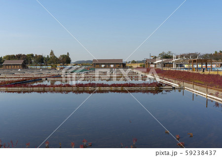 自然 風景 韓国 59238437