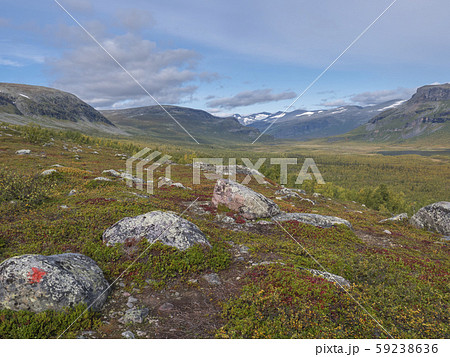 Beautiful wild nature of Sarek national park in Beautiful wild nature of Sarek national park in 59238636