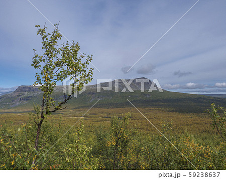 Beautiful wild nature of Sarek national park in Beautiful wild nature of Sarek national park in 59238637