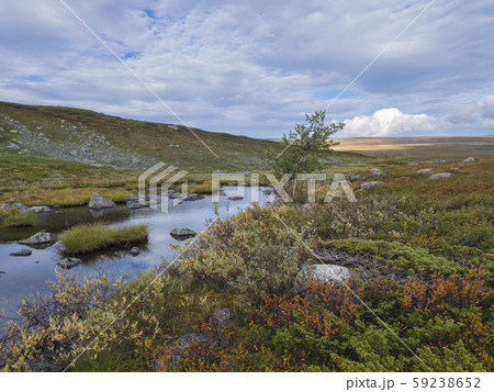 Lapland landscape with small pond, stones 59238652