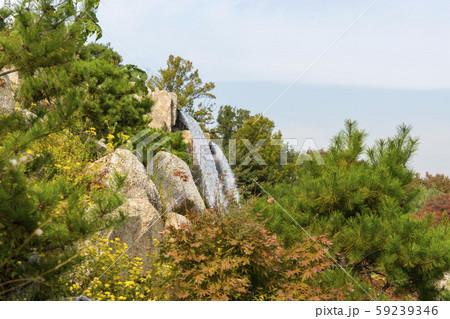 自然 風景 韓国 59239346