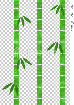  Bamboo grove 59239863