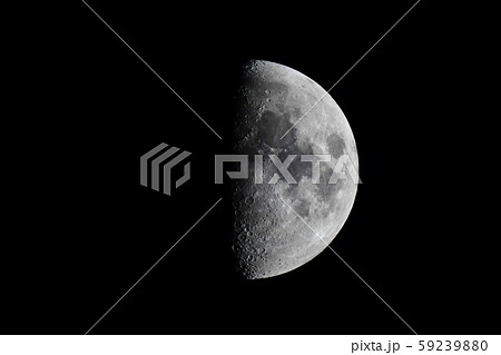 11月05日 月齢8.25 18時40分 11月05日 月齢8.25 18時40分 59239880