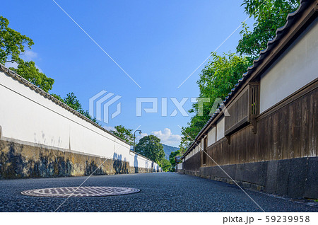 夏の萩市武家屋敷【山口県】 夏の萩市武家屋敷【山口県】 59239958