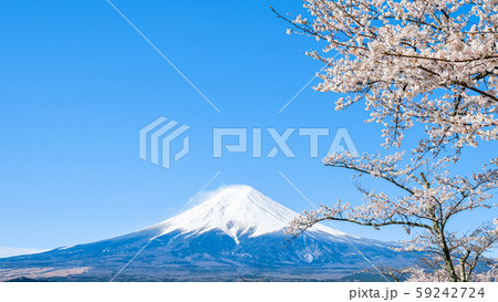 桜と富士山 桜と富士山 59242724
