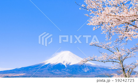 桜と富士山 桜と富士山 59242725