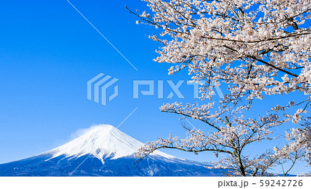 桜と富士山 桜と富士山 59242726