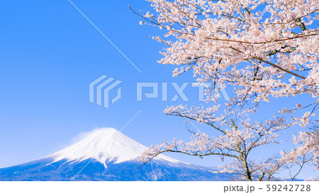 桜と富士山 59242728