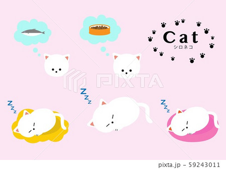 シロネコ　セット② 59243011