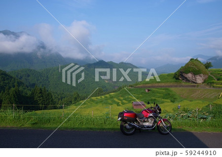 丸山千枚田へ　秋 59244910