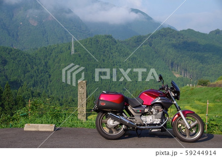 丸山千枚田へ　秋 59244914