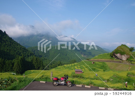 丸山千枚田へ　秋 59244916