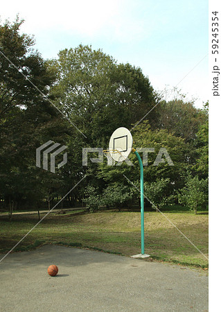 バスケットゴール 栃木県宇都宮市 みずほの自然の森公園 バスケットゴール 栃木県宇都宮市 みずほの自然の森公園 59245354