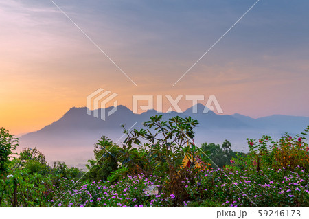 Sunrise with the mist Beautiful landscape for relaxing in thailand 59246173