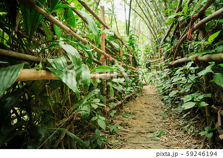 梁 ビーム 煌く 59246194