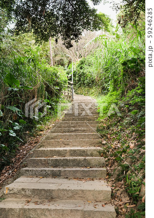 梁 ビーム 煌く 59246285