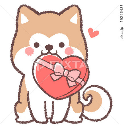 秋田犬バレンタインのイラスト素材