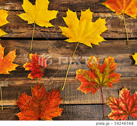 Autumn leaves background on wooden table 59246568