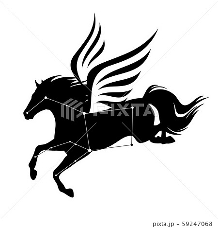 winged pegasus horse star constellation black and white vector design 59247068