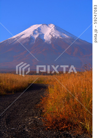 20191104梨ヶ原からの冠雪富士山 20191104梨ヶ原からの冠雪富士山 59247083