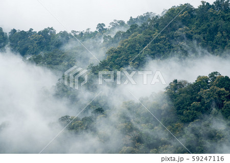 foggy landscape in the mountains foggy landscape in the mountains 59247116
