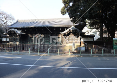 上野公園 旧因州池田屋敷表門黒門 上野公園 旧因州池田屋敷表門黒門 59247481