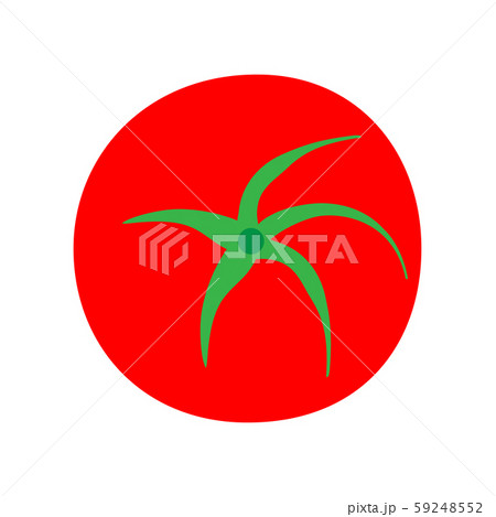Tomato vegetarian natural isolated harvest vector. 59248552