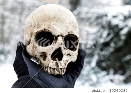 Skull of the reaper closeup photo Skull of the reaper closeup photo 59249282