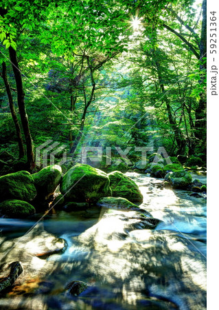 尚仁沢湧水 59251364