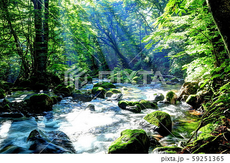 尚仁沢湧水 59251365