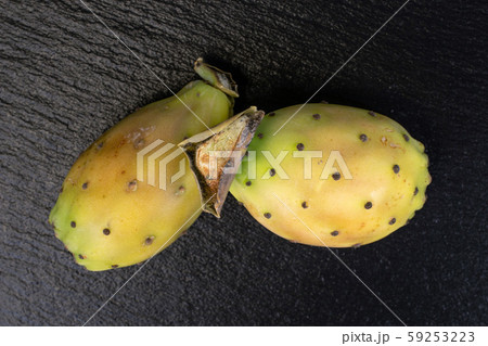 Green prickly pear on grey stone Green prickly pear on grey stone 59253223