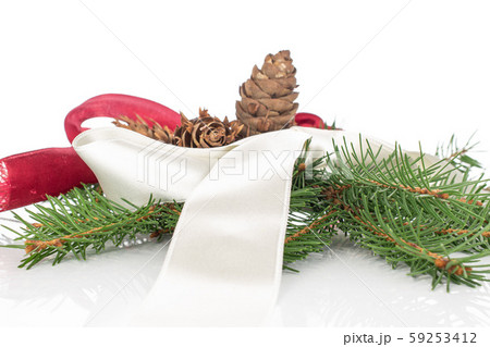 Christmas tree branch isolated on white Christmas tree branch isolated on white 59253412