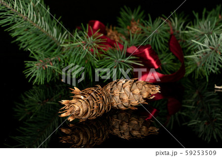Christmas tree branch isolated on black glass Christmas tree branch isolated on black glass 59253509