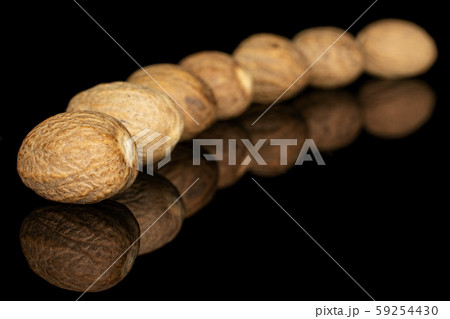 Dry brown nutmeg isolated on black glass Dry brown nutmeg isolated on black glass 59254430