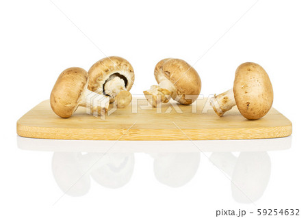 Fresh brown mushroom isolated on white 59254632