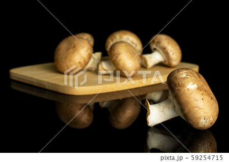Fresh brown mushroom isolated on black glass 59254715
