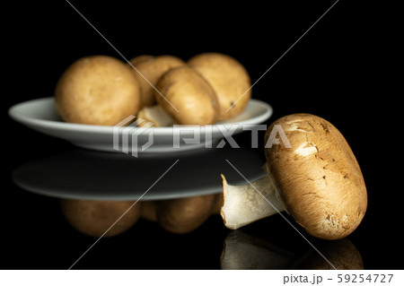 Fresh brown mushroom isolated on black glass 59254727