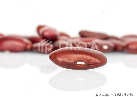 Fresh red kidney bean isolated on white Fresh red kidney bean isolated on white 59254849
