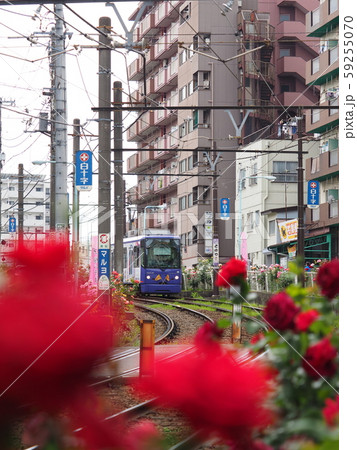 都電 59255070
