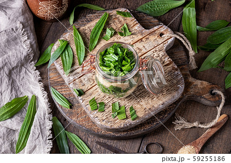 Preparation of ribwort plantain syrup against cough Preparation of ribwort plantain syrup against cough 59255186