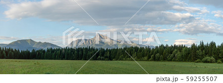 Panorama of High Tatras with prominent mount Krivan peak Slovak symbol in centre, meadow and 59255507