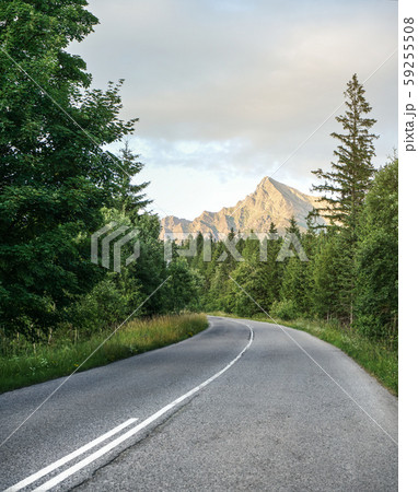 Asphalt road in forest, coniferous trees on both sides, mount Krivan peak Slovak symbol with 59255508