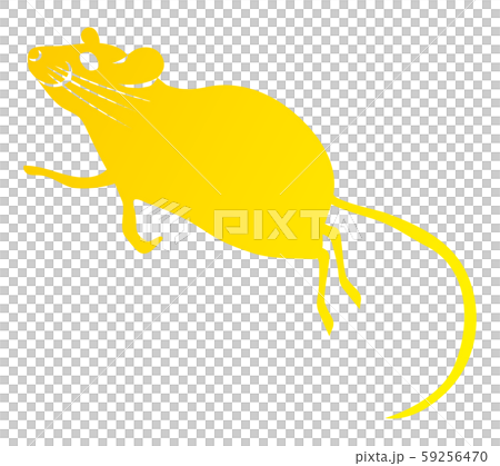 A mouse A mouse 59256470
