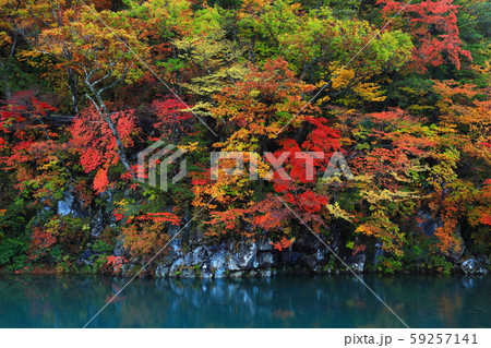 紅葉の法体の滝 紅葉の法体の滝 59257141