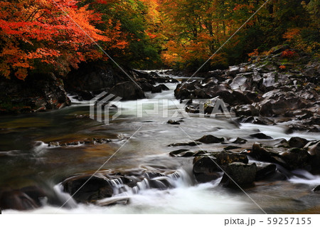 紅葉の法体の滝 紅葉の法体の滝 59257155