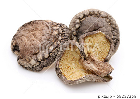 干し椎茸 59257258