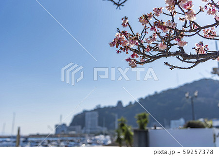 【熱海桜 ビーチ】 【熱海桜 ビーチ】 59257378